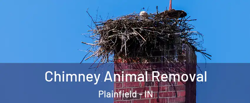 Chimney Animal Removal Plainfield - IN