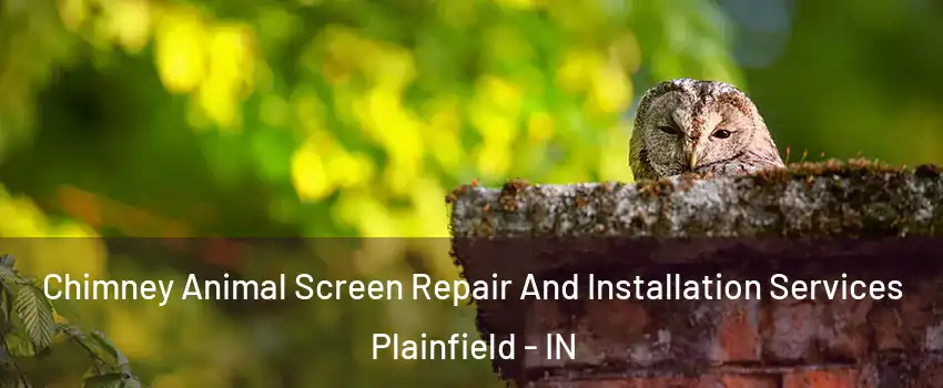  Chimney Animal Screen Repair And Installation Services Plainfield - IN