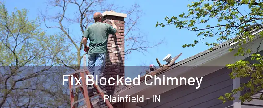  Fix Blocked Chimney Plainfield - IN