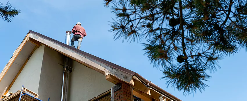 Birds Removal Contractors from Chimney in Plainfield, IN