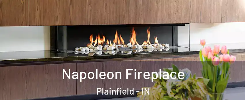  Napoleon Fireplace Plainfield - IN